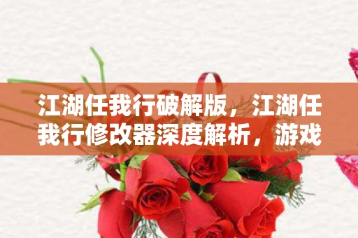 江湖任我行破解版，江湖任我行修改器深度解析，游戏世界的神奇工具