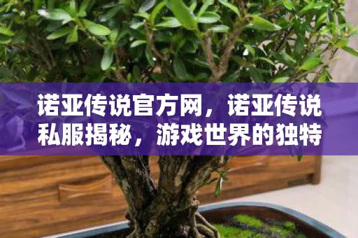 诺亚传说官方网,诺亚传说私服揭秘,游戏世界的独特魅力与秘密探索 诺亚传说官方网,诺亚传说私服揭秘,游戏世界的独特魅力与秘密探索