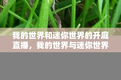 我的世界和迷你世界的开庭直播，我的世界与迷你世界开庭直播，游戏界的法律纷争与未来走向