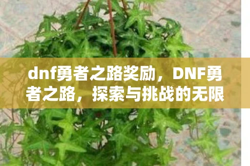dnf勇者之路奖励，DNF勇者之路，探索与挑战的无限征程