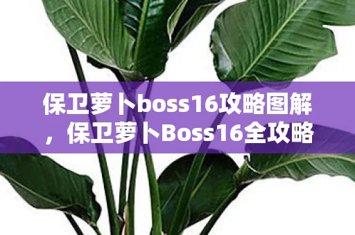 保卫萝卜boss16攻略图解，保卫萝卜Boss16全攻略，技巧、战略与实战经验分享