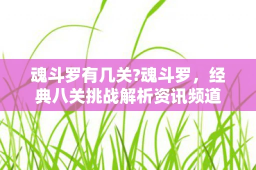 魂斗罗有几关?魂斗罗,经典八关挑战解析资讯频道 魂斗罗有几关?魂斗罗,经典八关挑战解析资讯频道