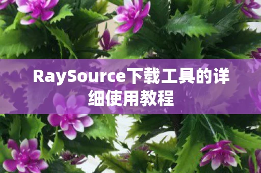 RaySource下载工具的详细使用教程图片