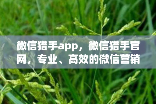 微信猎手app,微信猎手官网,专业、高效的微信营销工具 微信猎手app,微信猎手官网,专业、高效的微信营销工具