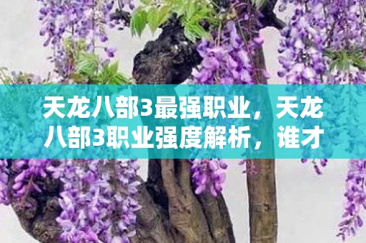 天龙八部3最强职业，天龙八部3职业强度解析，谁才是江湖霸主？