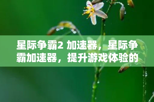 星际争霸2 加速器，星际争霸加速器，提升游戏体验的必备神器