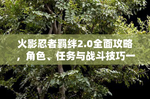 任务与战斗技巧一网打尽图片