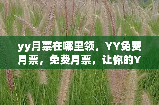 yy月票在哪里领，YY免费月票，免费月票，让你的YY之旅更加精彩！
