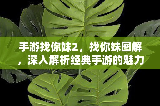 手游找你妹2，找你妹图解，深入解析经典手游的魅力与玩法