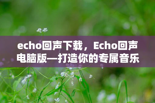 echo回声下载,Echo回声电脑版—打造你的专属音乐世界 echo回声下载,Echo回声电脑版—打造你的专属音乐世界