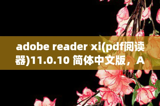 adobe reader xi(pdf阅读器)11.0.10 简体中文版,Adobe Reader 9.4简体中文版,一款强大的PDF阅读工具 adobe reader xi(pdf阅读器)11.0.10 简体中文版,Adobe Reader 9.4简体中文版,一款强大的PDF阅读工具