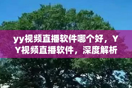 yy视频直播软件哪个好，YY视频直播软件，深度解析其功能与使用体验