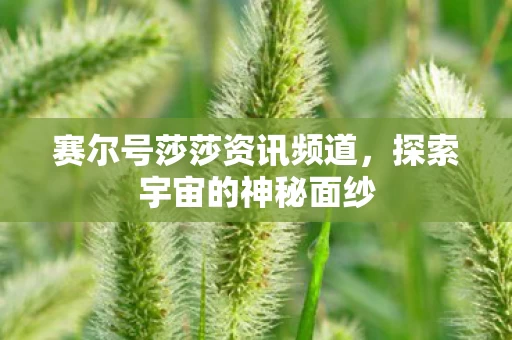 赛尔号莎莎资讯频道图片