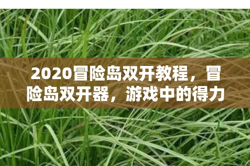 2020冒险岛双开教程，冒险岛双开器，游戏中的得力助手