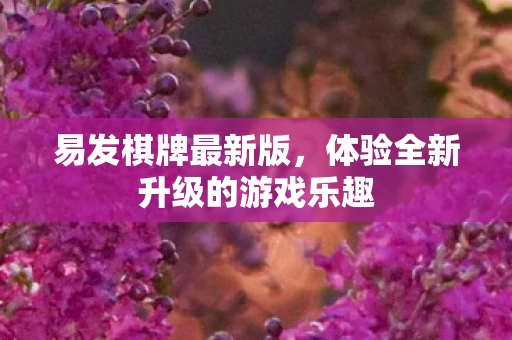 易发棋牌最新版,体验全新升级的游戏乐趣 易发棋牌最新版,体验全新升级的游戏乐趣