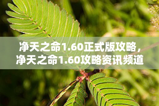 净天之命1.60正式版攻略，净天之命1.60攻略资讯频道