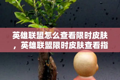 英雄联盟怎么查看限时皮肤,英雄联盟限时皮肤查看指南,轻松掌握查看方法 英雄联盟怎么查看限时皮肤,英雄联盟限时皮肤查看指南,轻松掌握查看方法