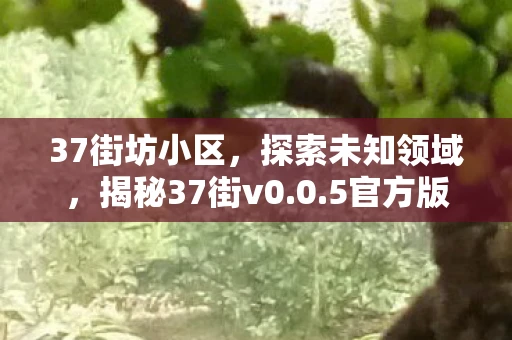 37街坊小区，探索未知领域，揭秘37街v0.0.5官方版下载及功能亮点