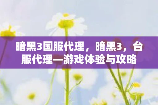 暗黑3国服代理,暗黑3,台服代理—游戏体验与攻略 暗黑3国服代理,暗黑3,台服代理—游戏体验与攻略