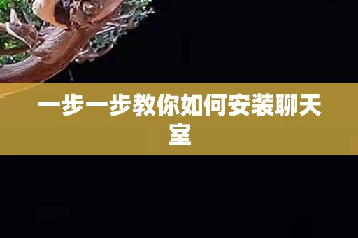 一步一步教你如何安装聊天室图片