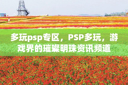 多玩psp专区,PSP多玩,游戏界的璀璨明珠资讯频道 多玩psp专区,PSP多玩,游戏界的璀璨明珠资讯频道