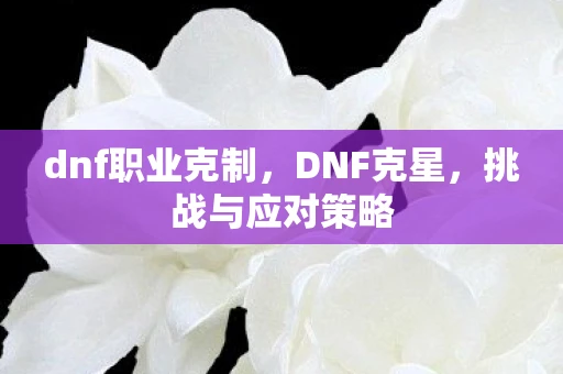 dnf职业克制,DNF克星,挑战与应对策略 dnf职业克制,DNF克星,挑战与应对策略