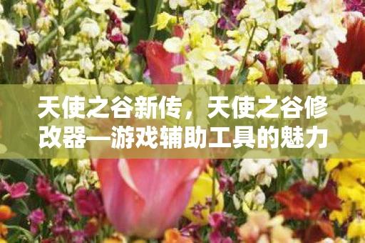 天使之谷新传,天使之谷修改器—游戏辅助工具的魅力 天使之谷新传,天使之谷修改器—游戏辅助工具的魅力