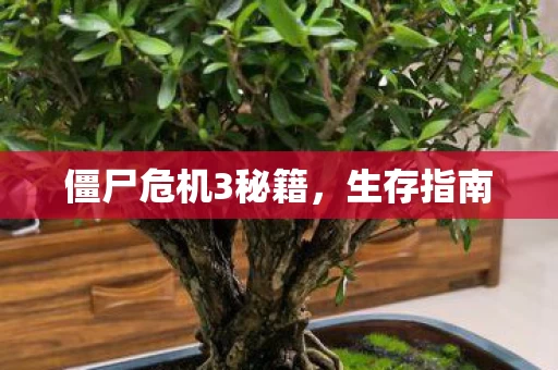 僵尸危机3秘籍图片