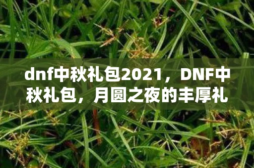dnf中秋礼包2021,DNF中秋礼包,月圆之夜的丰厚礼物 dnf中秋礼包2021,DNF中秋礼包,月圆之夜的丰厚礼物
