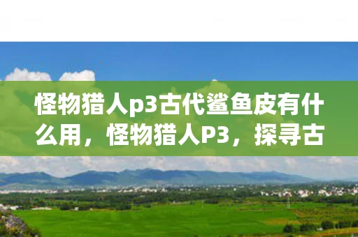 怪物猎人p3古代鲨鱼皮有什么用,怪物猎人P3,探寻古代鲨鱼皮的攻略秘籍 怪物猎人p3古代鲨鱼皮有什么用,怪物猎人P3,探寻古代鲨鱼皮的攻略秘籍