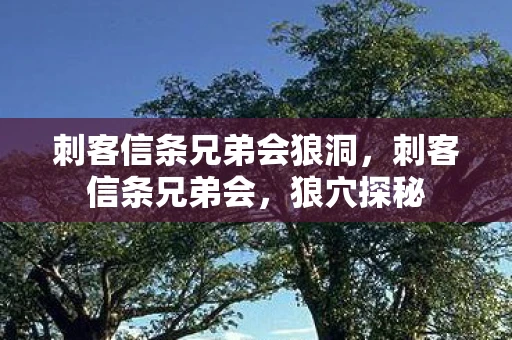 刺客信条兄弟会狼洞,刺客信条兄弟会,狼穴探秘 刺客信条兄弟会狼洞,刺客信条兄弟会,狼穴探秘