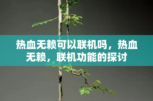 热血无赖可以联机吗,热血无赖,联机功能的探讨 热血无赖可以联机吗,热血无赖,联机功能的探讨