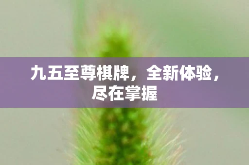 九五至尊棋牌，全新体验，尽在掌握