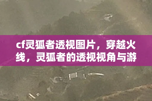 cf灵狐者透视图片，穿越火线，灵狐者的透视视角与游戏策略