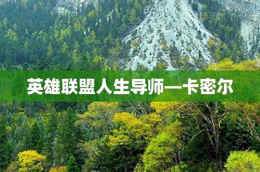 英雄联盟人生导师—卡密尔