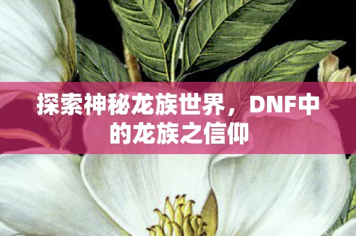 DNF中的龙族之信仰图片