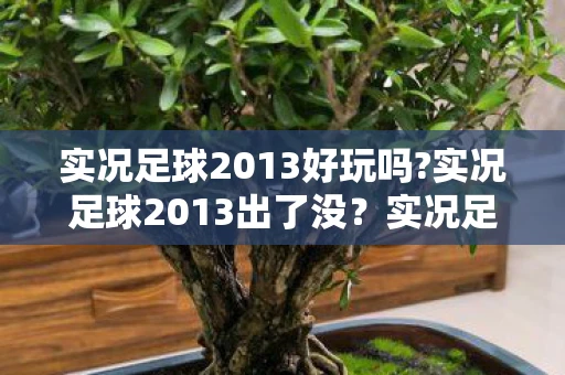 实况足球2013好玩吗?实况足球2013出了没？实况足球2013游戏评测与前瞻—手游玩家的福音终于来临！