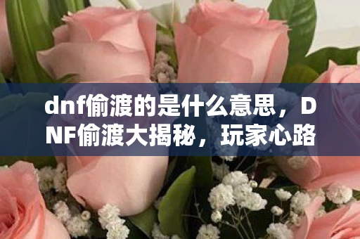 dnf偷渡的是什么意思，DNF偷渡大揭秘，玩家心路历程与游戏内外影响