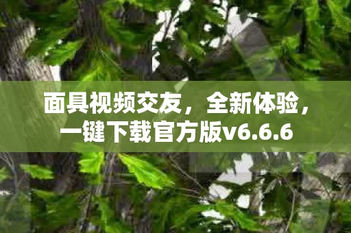 一键下载官方版v6图片