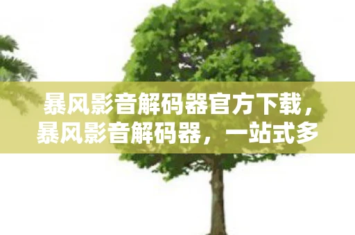 暴风影音解码器官方下载,暴风影音解码器,一站式多媒体解决方案 暴风影音解码器官方下载,暴风影音解码器,一站式多媒体解决方案