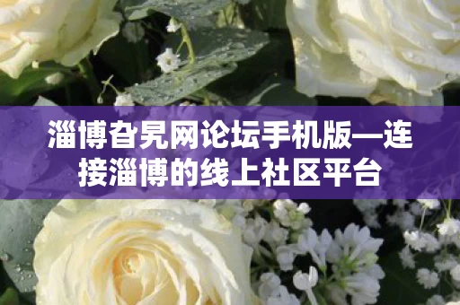 连接淄博的线上社区平台图片