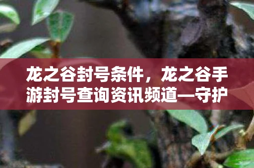 龙之谷封号条件，龙之谷手游封号查询资讯频道—守护公平游戏环境