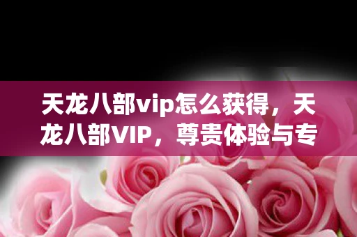 天龙八部vip怎么获得，天龙八部VIP，尊贵体验与专属特权