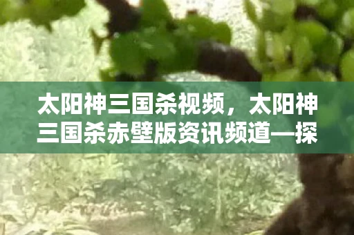 太阳神三国杀视频，太阳神三国杀赤壁版资讯频道—探寻全新游戏世界的奥秘