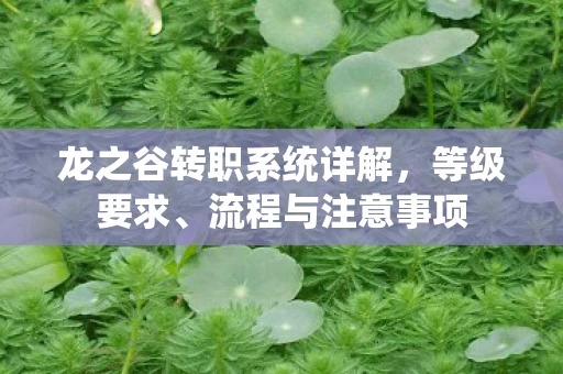 龙之谷转职系统详解图片