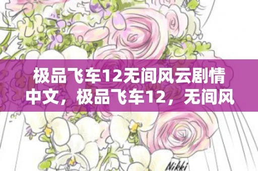 极品飞车12无间风云剧情中文，极品飞车12，无间风云序列号揭秘与游戏攻略大全