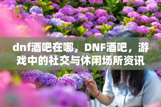 dnf酒吧在哪，DNF酒吧，游戏中的社交与休闲场所资讯频道