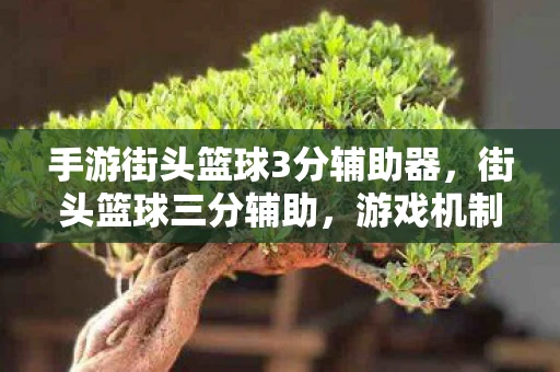 手游街头篮球3分辅助器,街头篮球三分辅助,游戏机制与玩家策略的完美融合 手游街头篮球3分辅助器,街头篮球三分辅助,游戏机制与玩家策略的完美融合