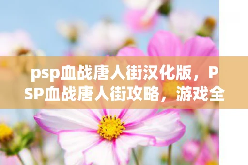 psp血战唐人街汉化版，PSP血战唐人街攻略，游戏全解析与实用技巧分享