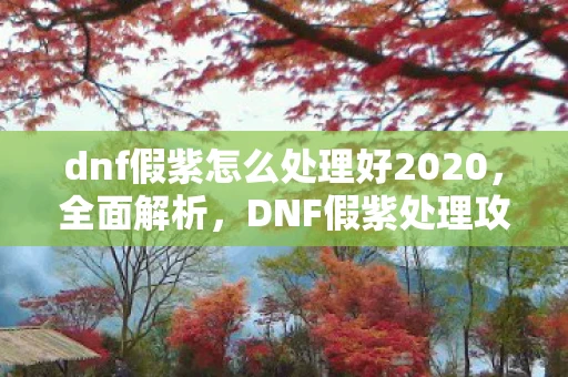 dnf假紫怎么处理好2020，全面解析，DNF假紫处理攻略与资讯频道